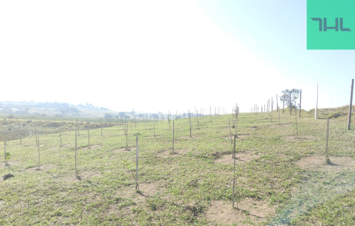 Imagem do WhatsApp de 2025-08-26 à(s) 15.10.36_068166c5