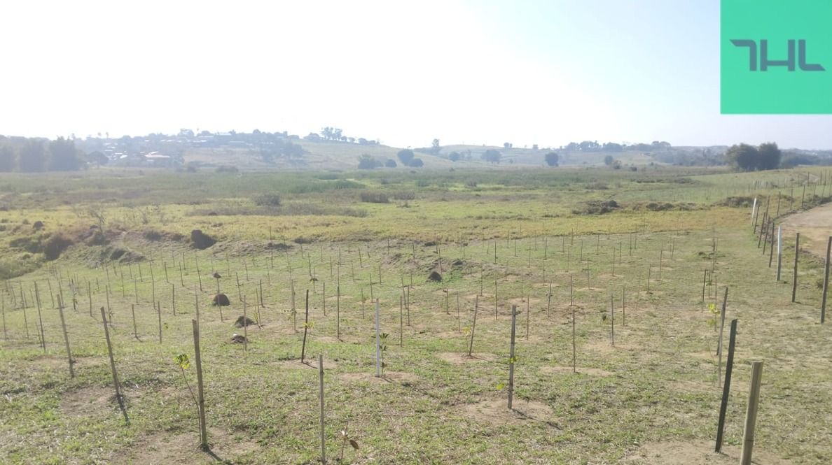 Imagem do WhatsApp de 2025-08-26 à(s) 15.10.36_1adf258e