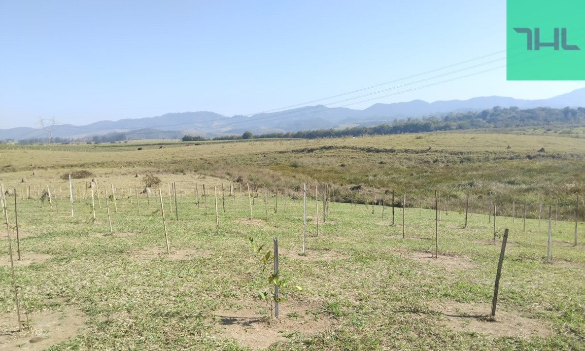 Imagem do WhatsApp de 2025-08-26 à(s) 15.10.36_6a81c09b